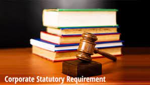 corporate statutory requirements of Rays Associates Ahmedabad, CA Rahul  Maliwal Ahmedabad